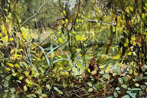 Walton Colliery Nature Park paintings