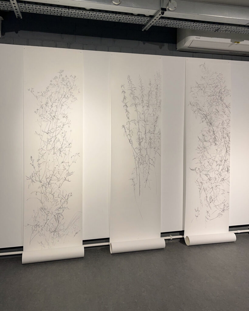 Three large pencil drawings on long scrolls of paper. Displayed vertically on a white gallery wall