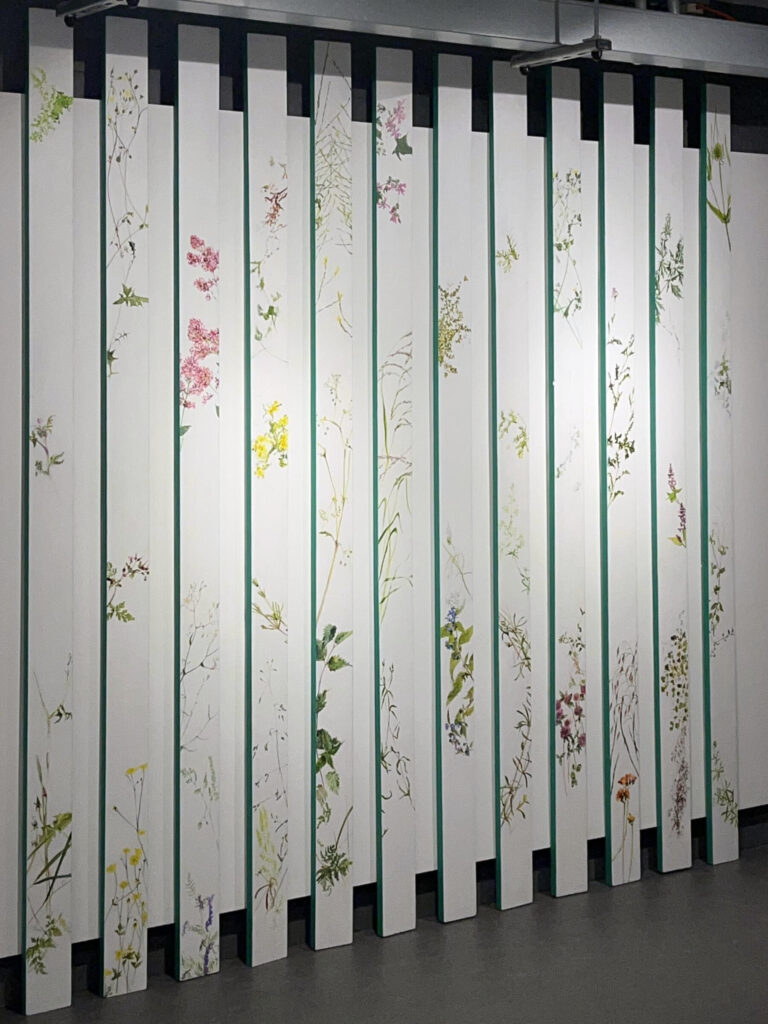 Twelve white planks with green edges are displayed on a white gallery wall. Painted sketches of urban wild-plants are arranged across the surface of the planks.