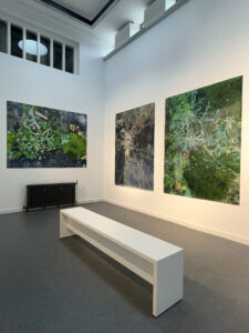 Three large botanical themed paintings, by Helen Thomas, in a whte wall gallery space.