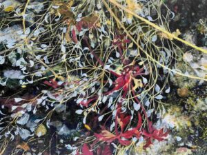 A painting of dried stems and seed-heads sprawling across rough broken concrete
