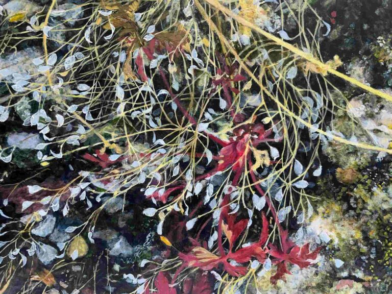 A painting of dried stems and seed-heads sprawling across rough broken concrete